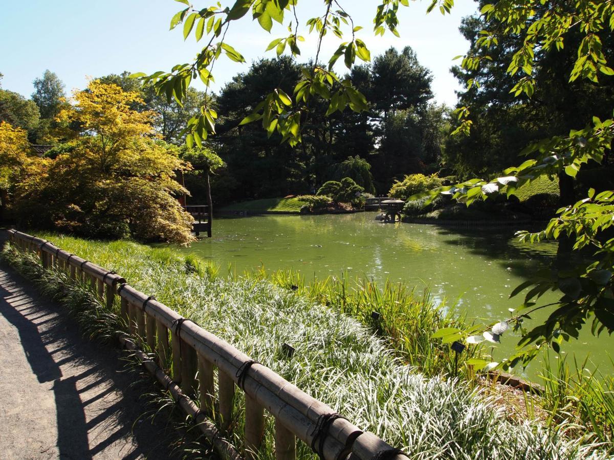 Prospect Park Apartment New York Bagian luar foto